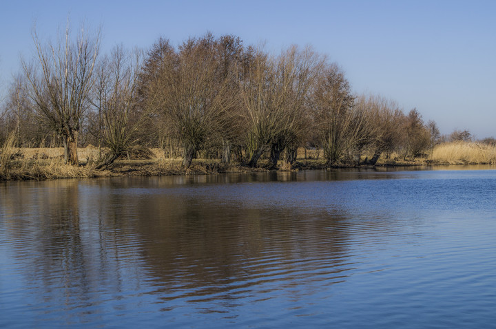 Nad wodą (Marzec 2014)