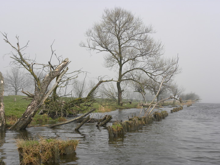 Przedwiośnie (Kwiecień 2014)