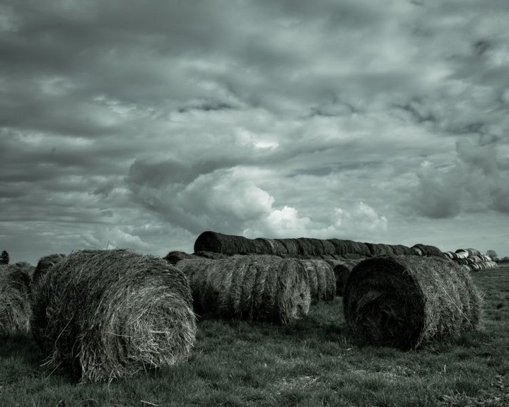 Moje Żuławy (Kwiecień 2014)