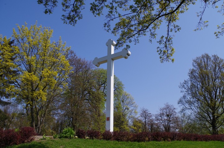 Krzyż (Kwiecień 2014)