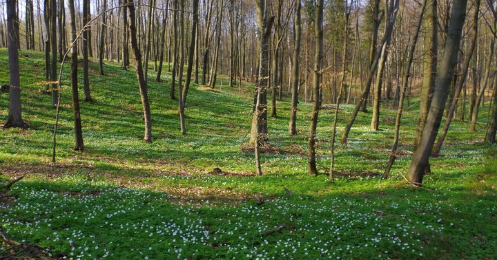 w drodze na Jelenią... (Kwiecień 2014)