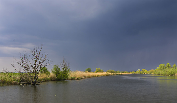 Rzeka Elbląg (Maj 2014)