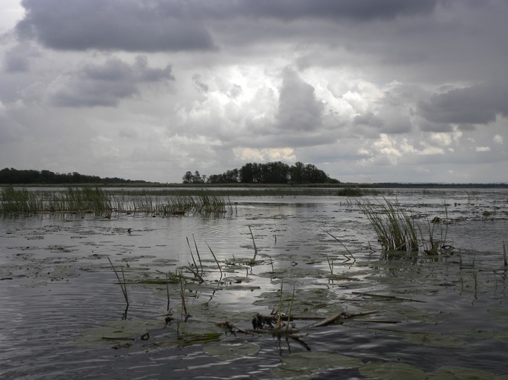 Jezioro Druzno