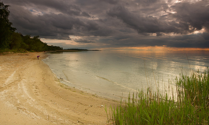 Co się kryje w piasku... (Maj 2014)