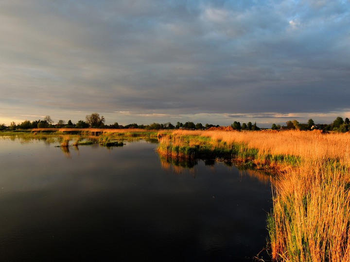 Żuławskie klimaty