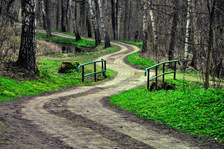 Krętą ścieżką poprzez las.