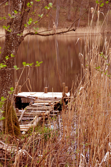 pomostek (Czerwiec 2014)