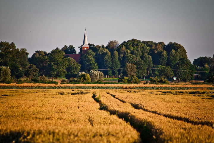 Jegłownik