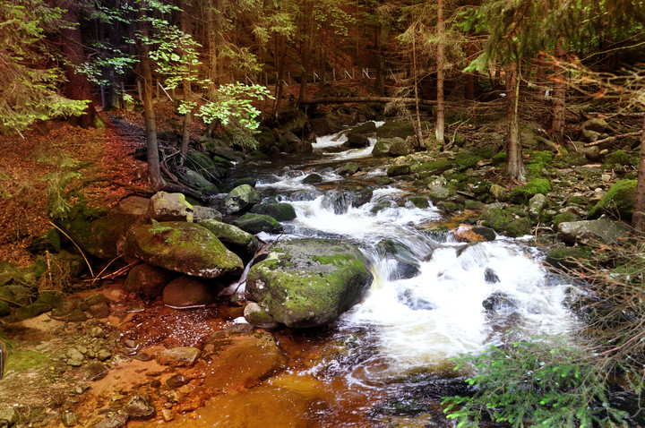 Karkonoski Park Narodowy (Sierpień 2014)