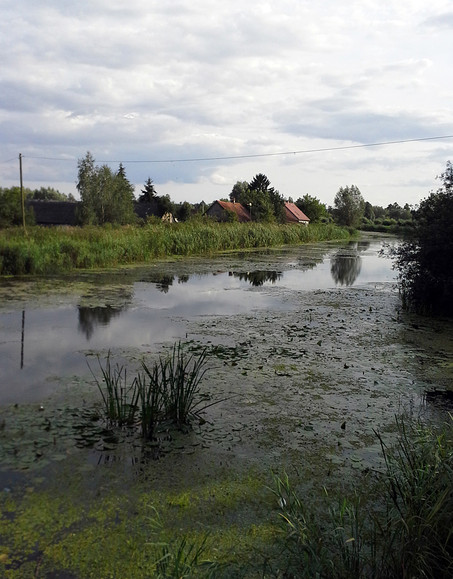 Okolice wsi Jezioro (Sierpień 2014)