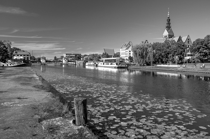 Nad rzeką Elbląg