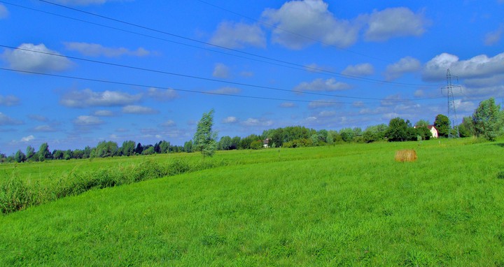 TO TEŻ ELBLĄG