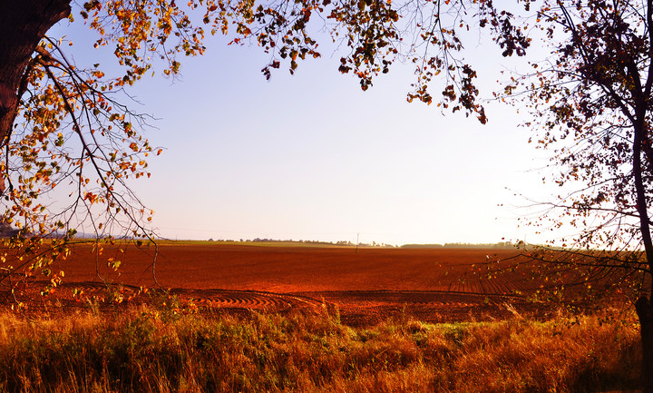 jesiennie (Wrzesień 2014)