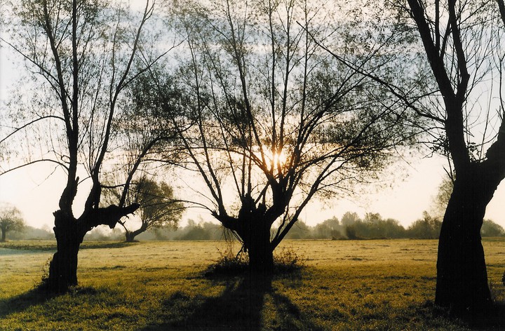 żegnaj lato