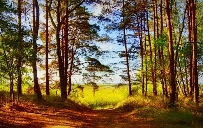 Ciepło, jesiennie. (Październik 2014)