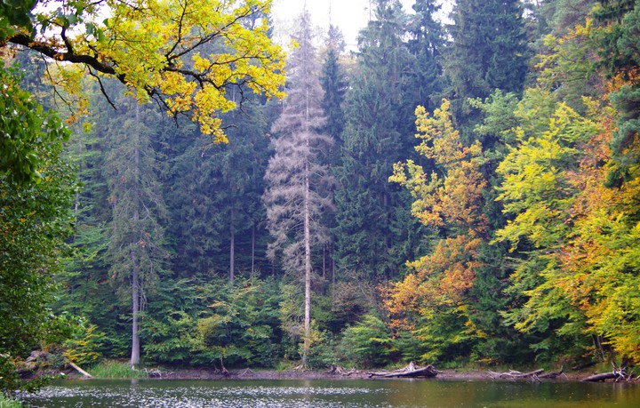 Jelenia Dolina (Październik 2014)