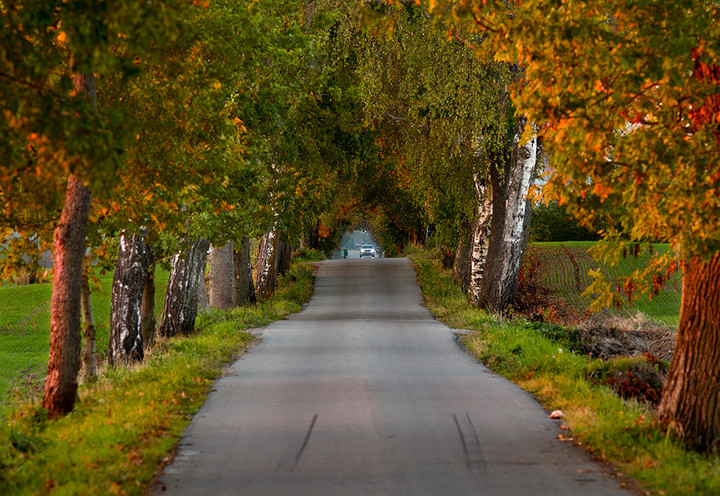 Wiejską drogą (Październik 2014)