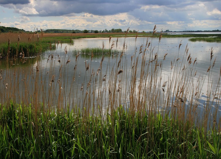 Przed ulewą... (Październik 2014)