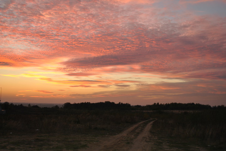 na Modrzewinie (Październik 2014)