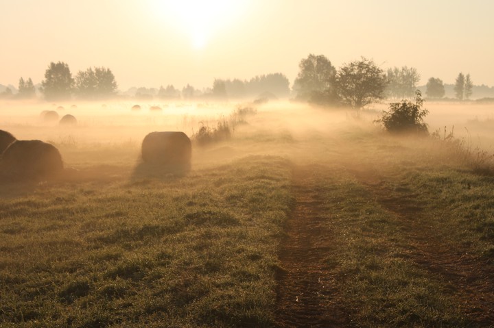 Torfowa mgła.