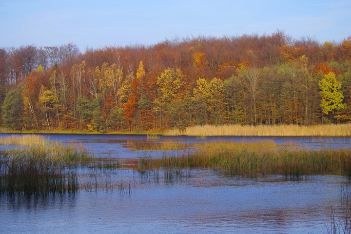 Elbląska złota jesień (Listopad 2014)