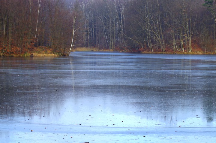 Jezioro Goplanica (Grudzień 2014)