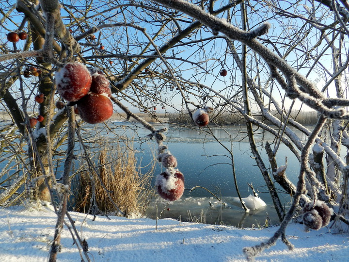 zimowe okolice Nowakowa