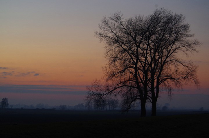 Mgliste Żuławy (Styczeń 2015)