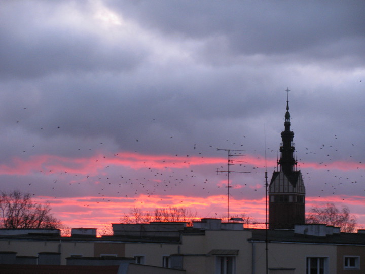 Nad dachami...Elbląga.