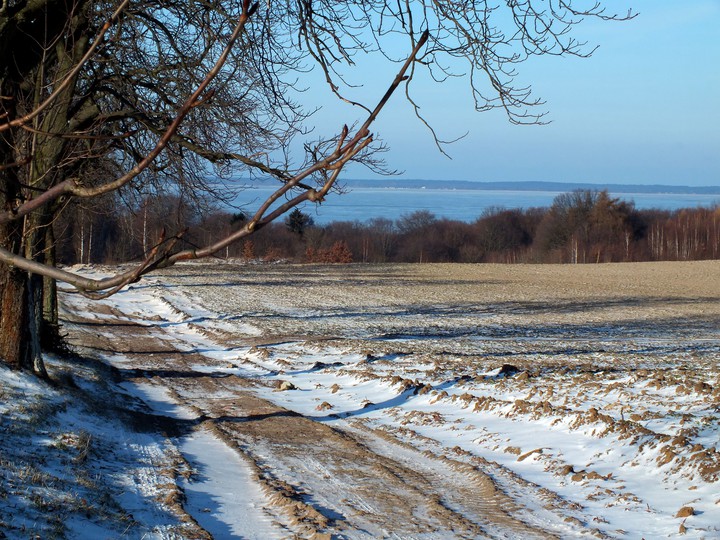 Krótka zima