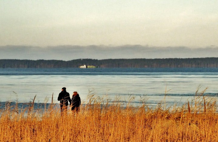 Zimowe ocieplenie klimatów (Styczeń 2015)