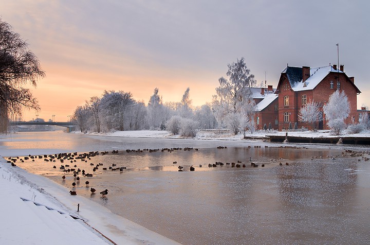 Poranek (Styczeń 2015)