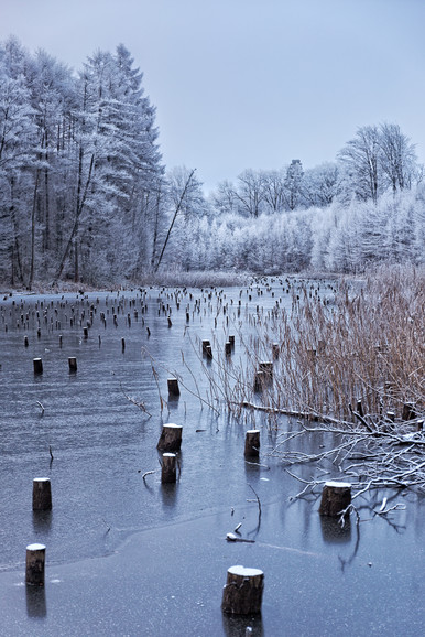 Zima, Jelenia Dolina (Styczeń 2015)