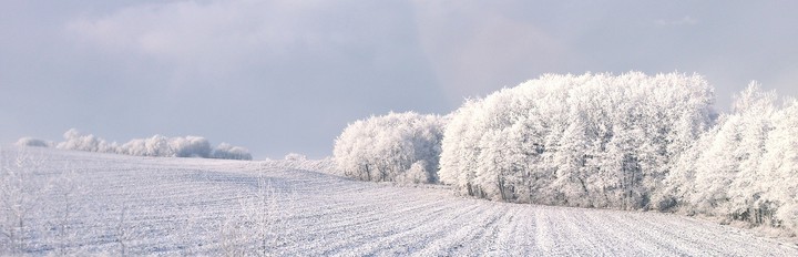 .. (Styczeń 2015)