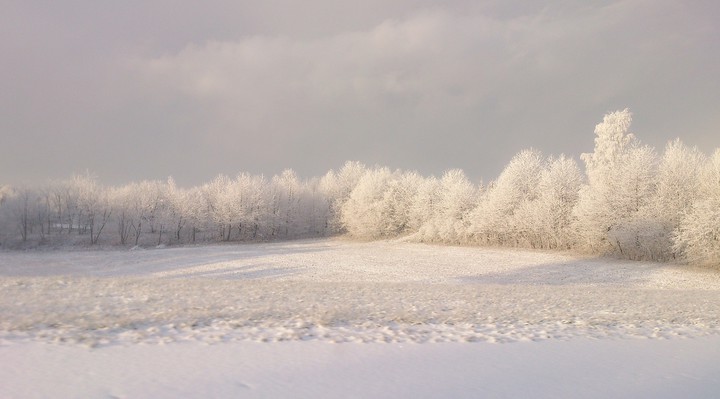 .. (Styczeń 2015)