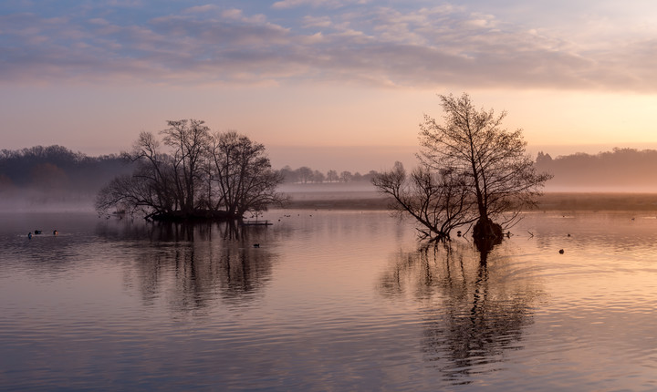 Poranek (Styczeń 2015)