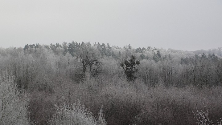 Przymroziło :) (Styczeń 2015)