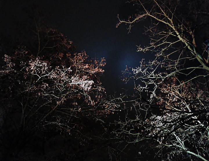 W nocnym świetle (Luty 2015)