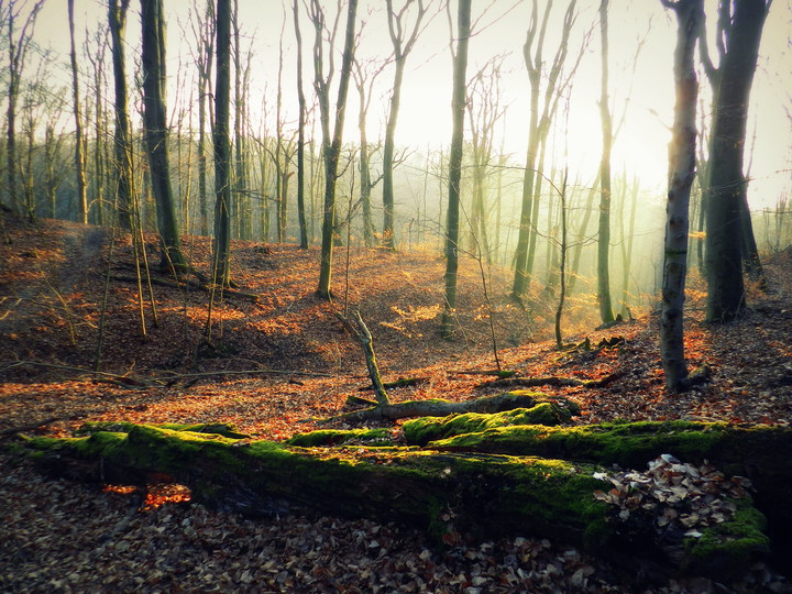 popołudnie (Marzec 2015)