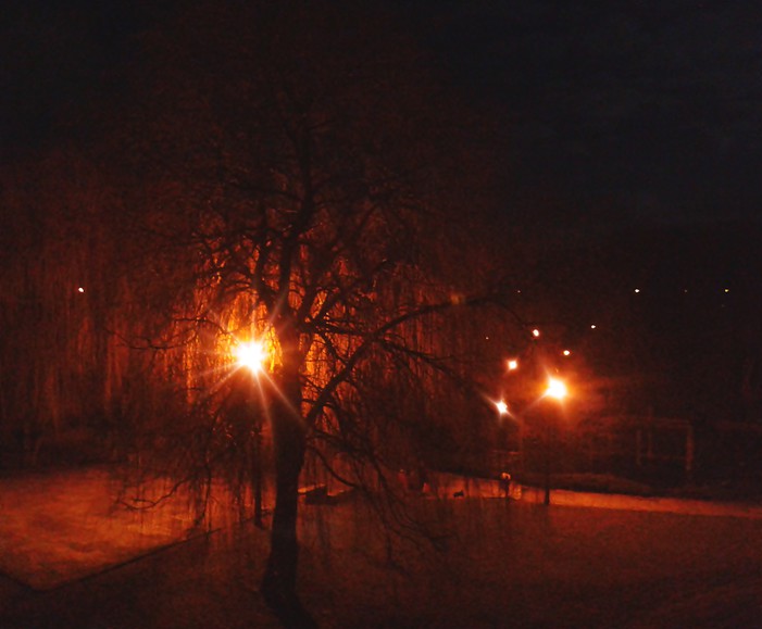 Park wieczorową porą.. (Marzec 2015)