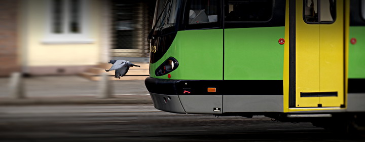 Ucieczka przed tramwajem. Zdjęcie nagrodzone w konkursie "Elbląskie tramwaje". (Marzec 2015)