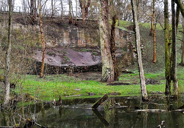 W zgodzie z naturą