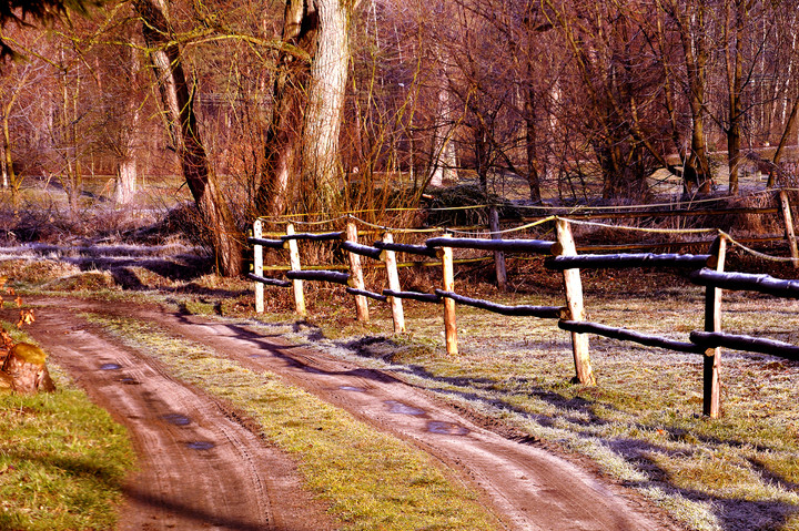 ciepłe barwy zimnego poranka (Kwiecień 2015)