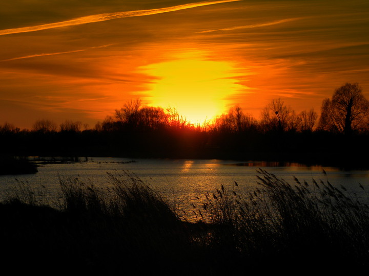 Wieczorem nad Nogatem (Kwiecień 2015)