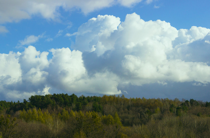 Jak wata cukrowa (Kwiecień 2015)