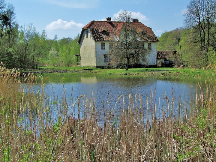 ELBLĄSKIE BUDYNKI NA UBOCZU (Kwiecień 2015)