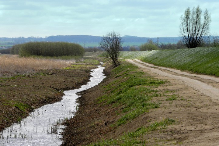 Żuławy (Maj 2015)