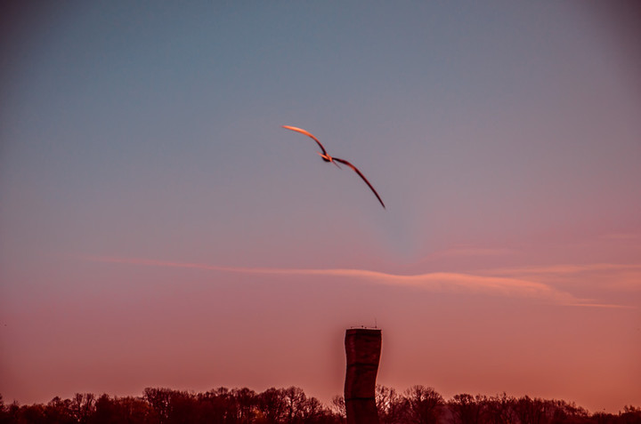 ponad prawdą (Maj 2015)