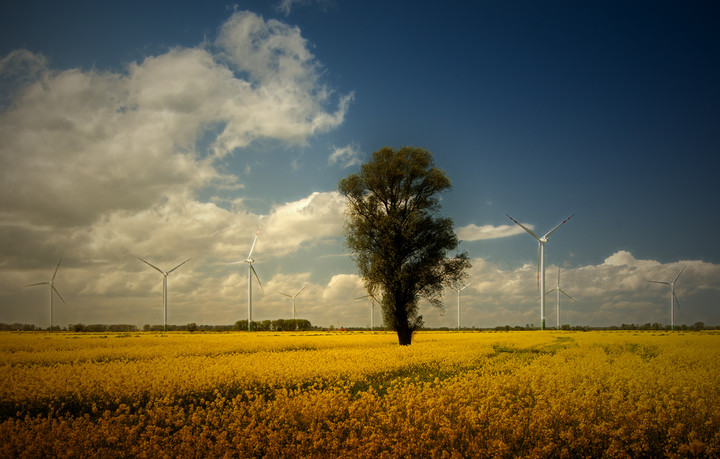 Oprócz błękitnego nieba,,, (Maj 2015)