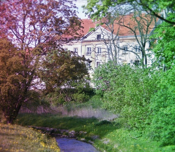 Nad rzeczką (Czerwiec 2015)